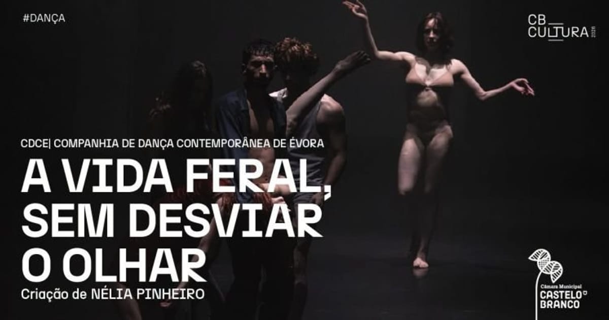 A VIDA FERAL, SEM DESVIAR O OLHAR, Criação de NÉLIA PINHEIRO | CDCE, Castelo Branco