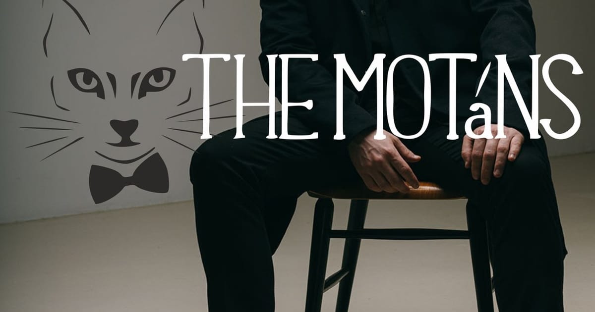 Bacau: Concert The Motans, Bacau