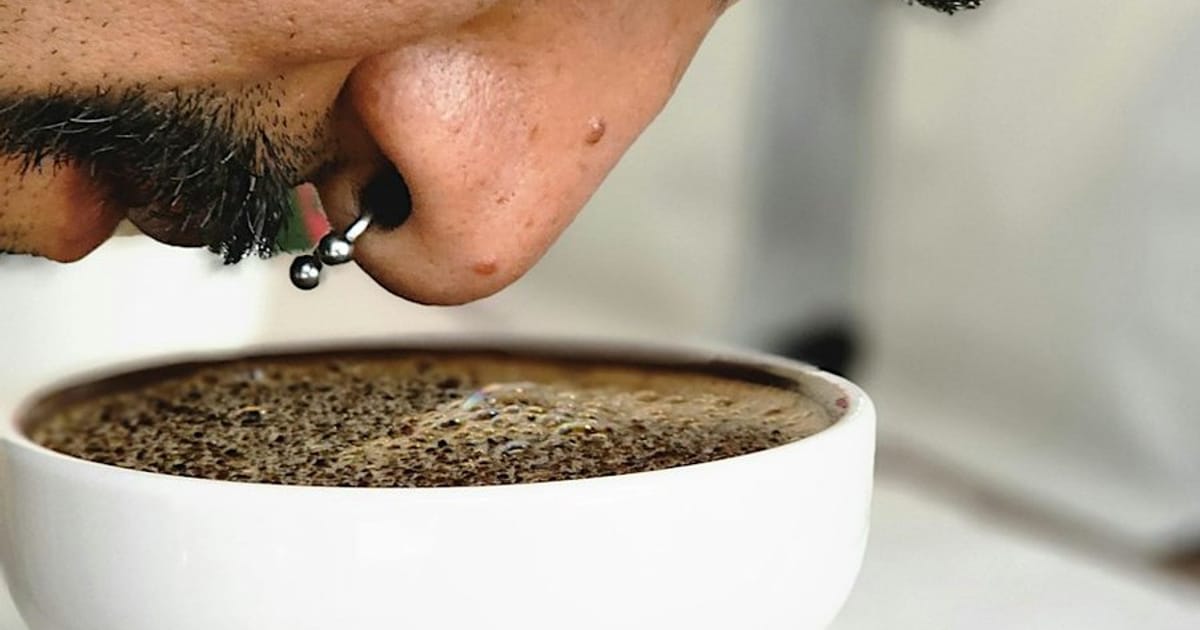 Cata a la brasileña | KISSA Coffee Roastery, Girona