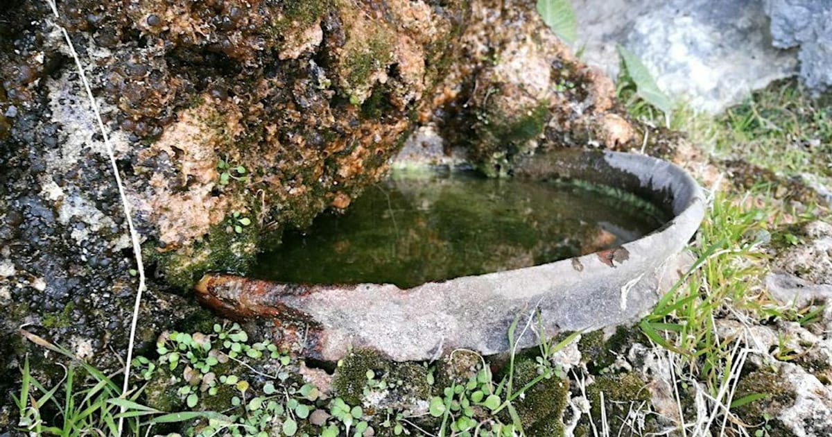 Conferència: “L'aigua i la xarxa hidràulica del mon andalusí”, Palma