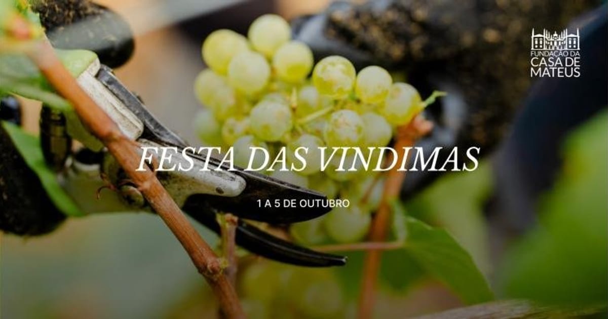 FESTA DAS VINDIMAS, Vila Real