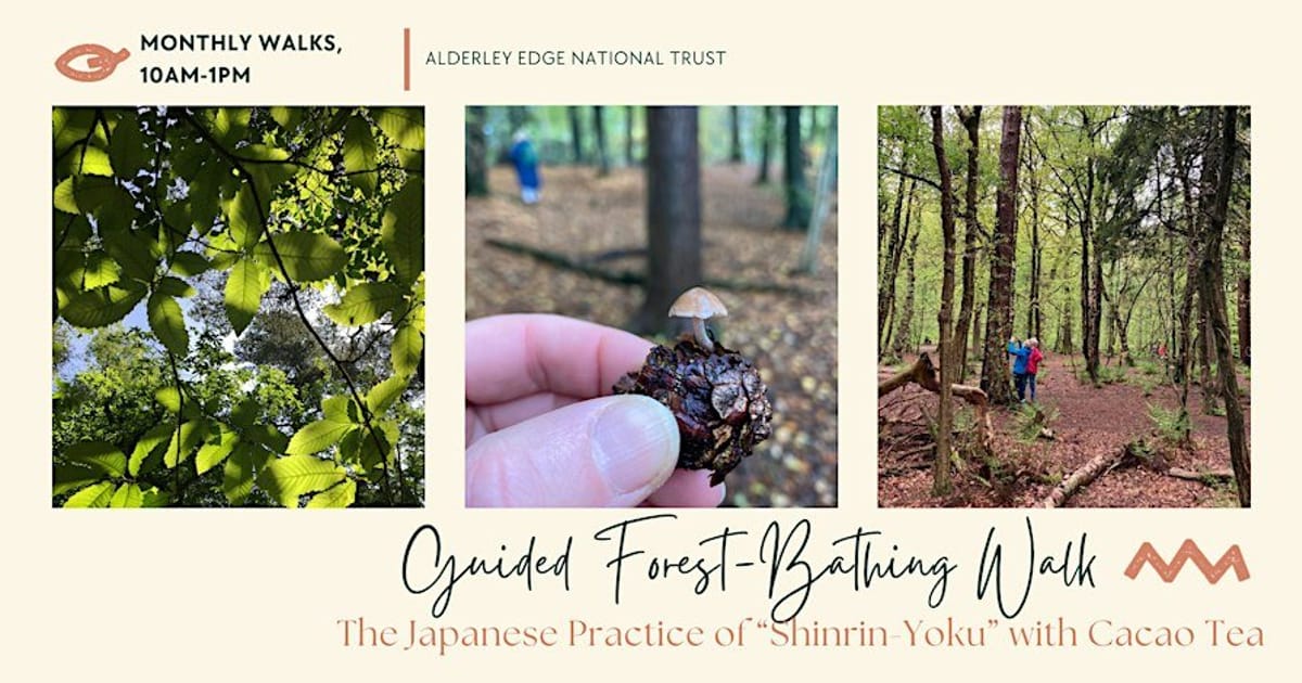 Guided Forest-Bathing Walk with Cacao Tea, Nether Alderley