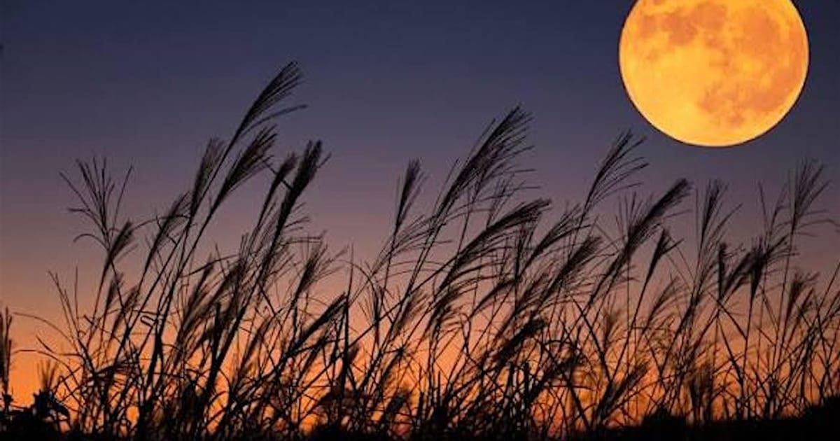 Harvest Full Moon Sound Bath with Reiki, Royton