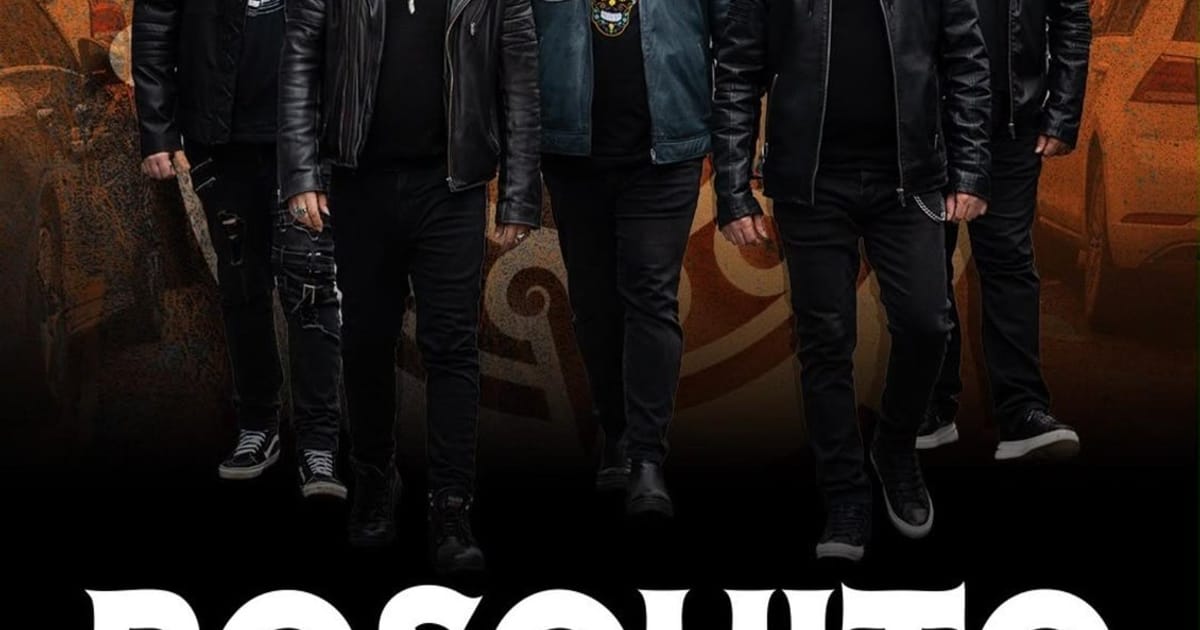 Iasi: Concert Bosquito, Iași