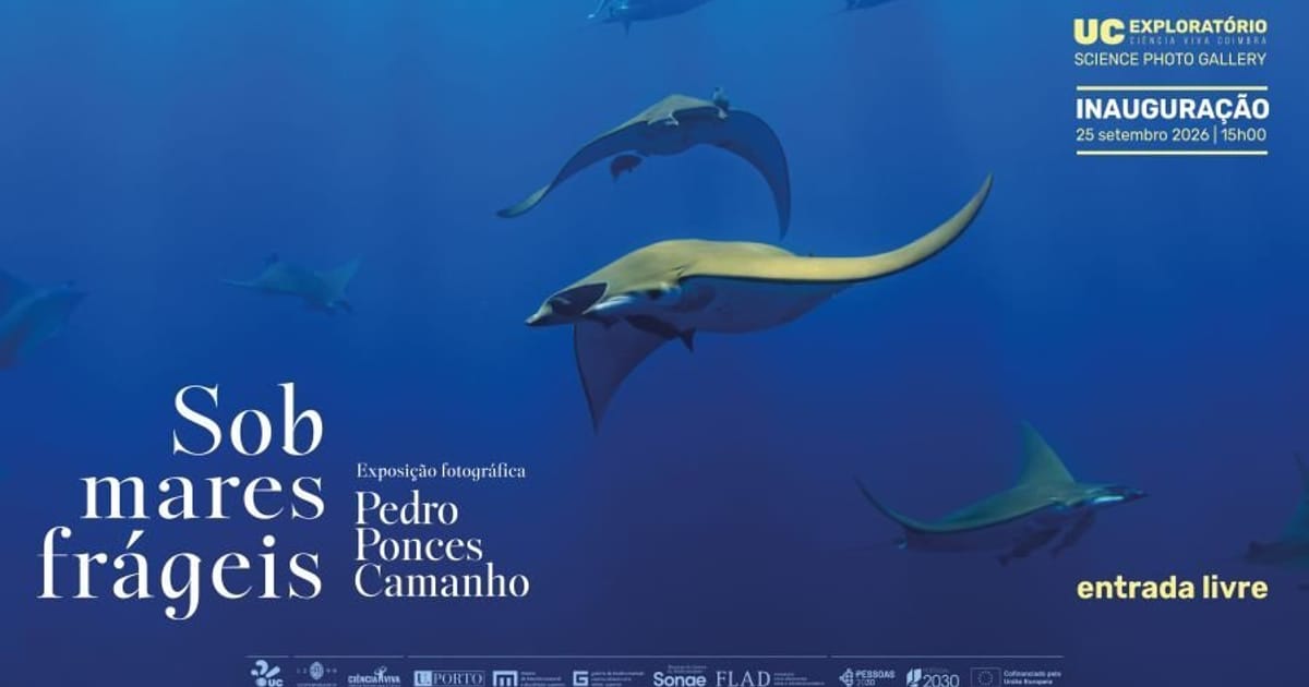 Inauguração da Exposição: Sob Mares Frágeis, Coimbra
