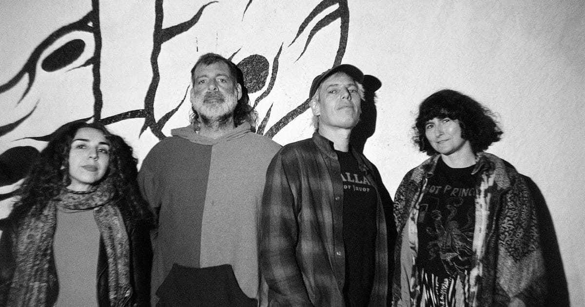 Jeffrey Lewis & The Voltage, Chelmsford