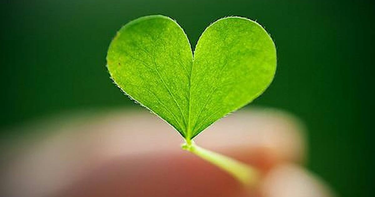KundAlini Yoga at Coed: "Light, Shade and Flow" workshop, Cowbridge