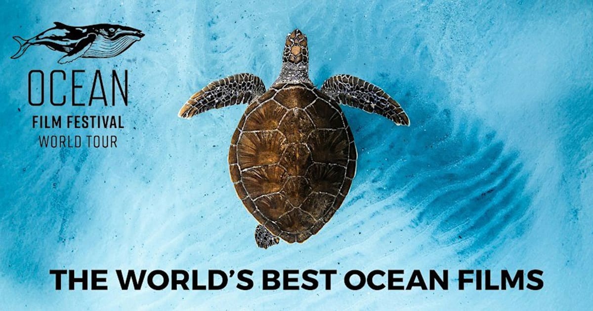 Ocean Film Festival - London - 20 October 2026, London