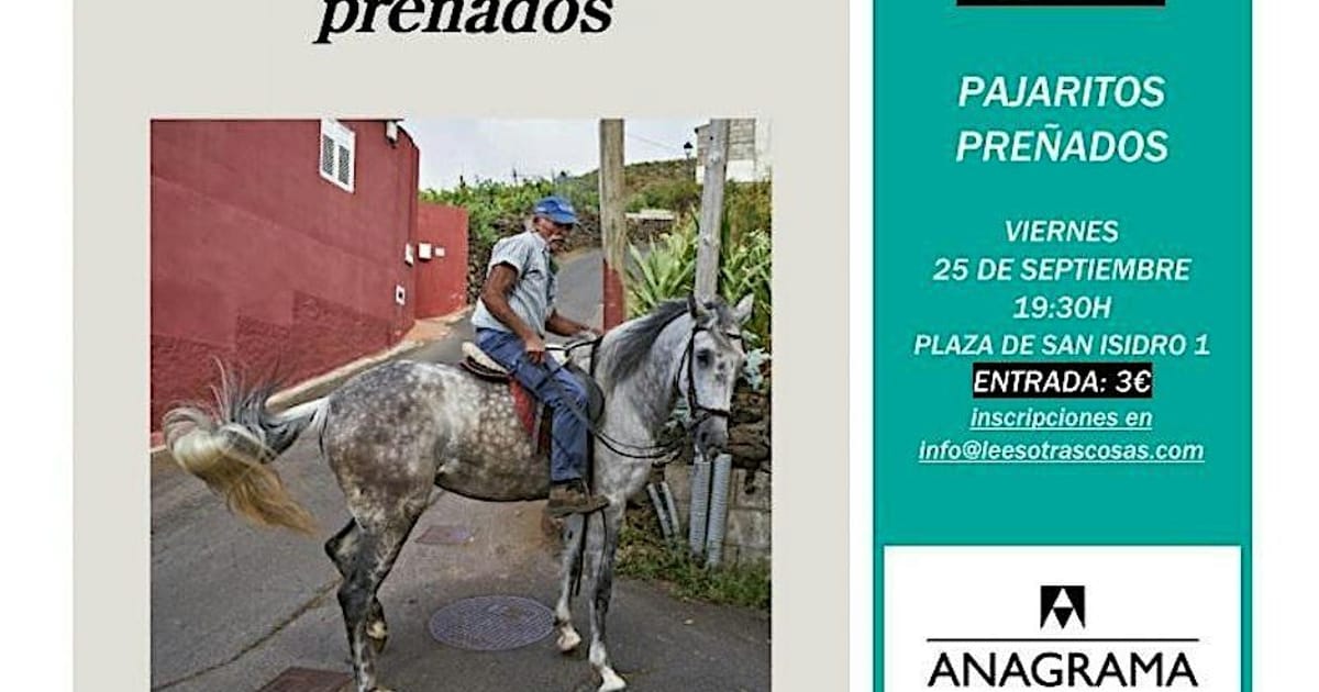 'Pajaritos preñados' de Andrea Abreu, Granada