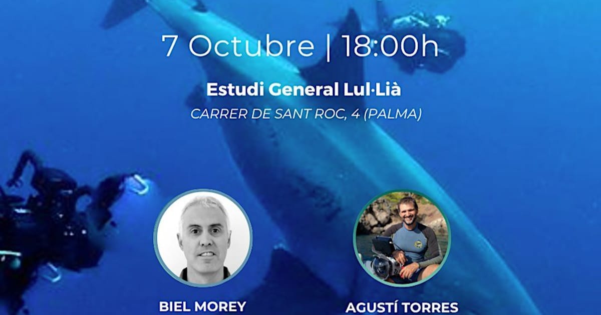 Proyección: Sharks of the Mediterranean: A Vanishing Kingdom, Palma