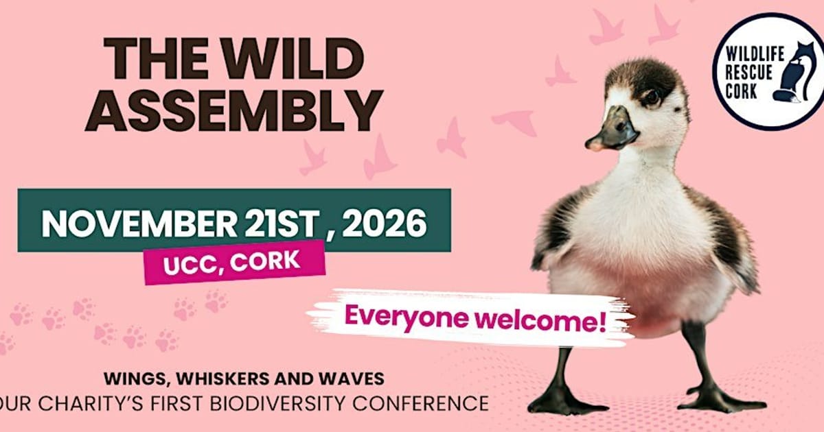 The Wild Assembly: Wings, Whiskers & Waves, Cork
