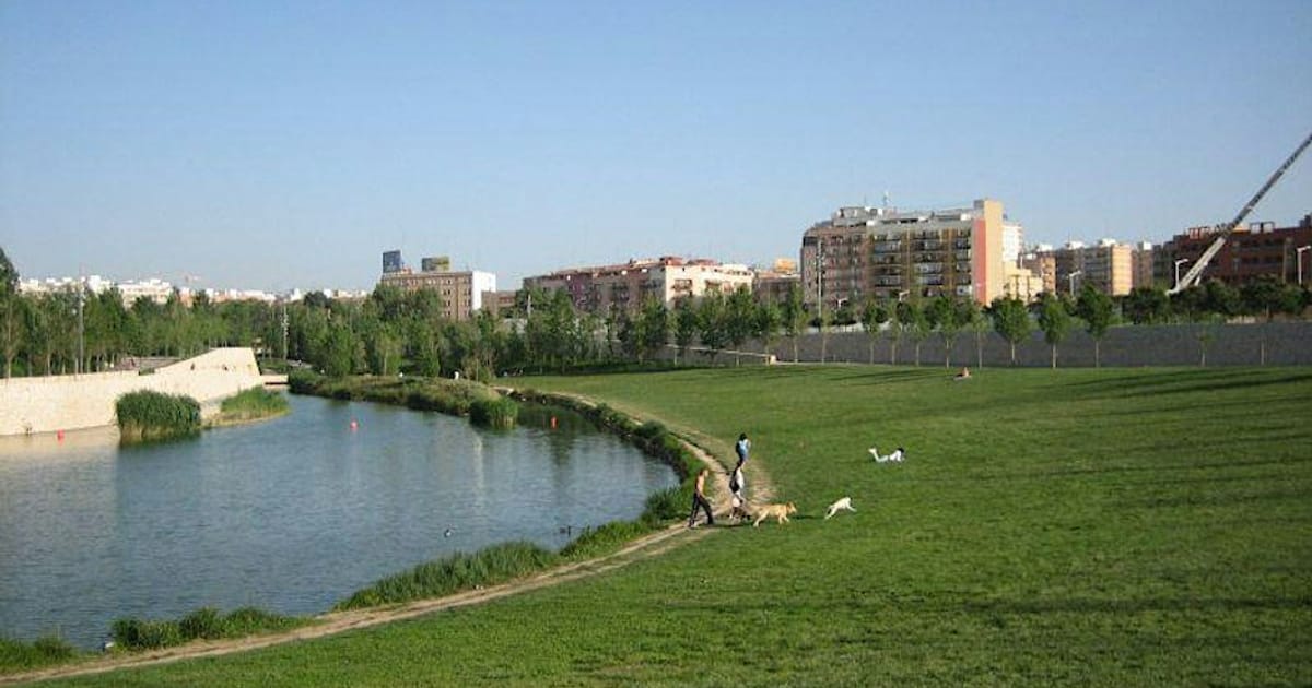 Valencia: Mate Hangout with Argentine Snacks in the Park, Valencia