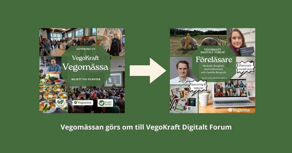 VegoKraft Vegomässa - för besökare, Gothenburg