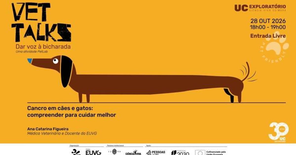 Vet Talks | Cancro em cães e gatos, Coimbra
