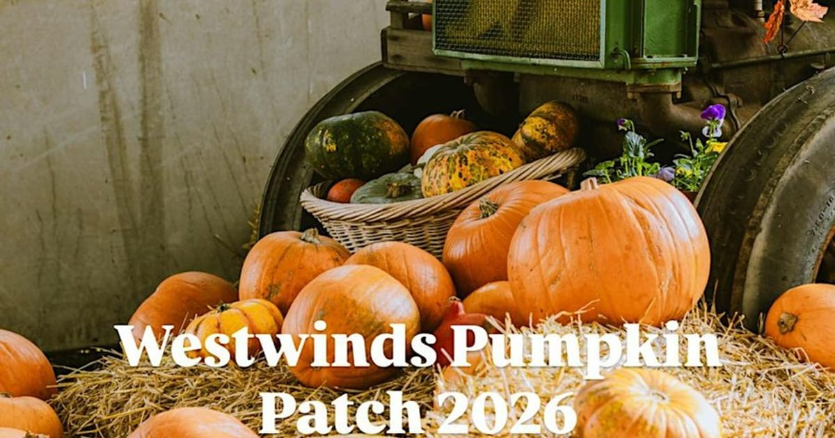 Westwinds Pumpkin Patch - 1 ticket per car, not per person, Airdrie