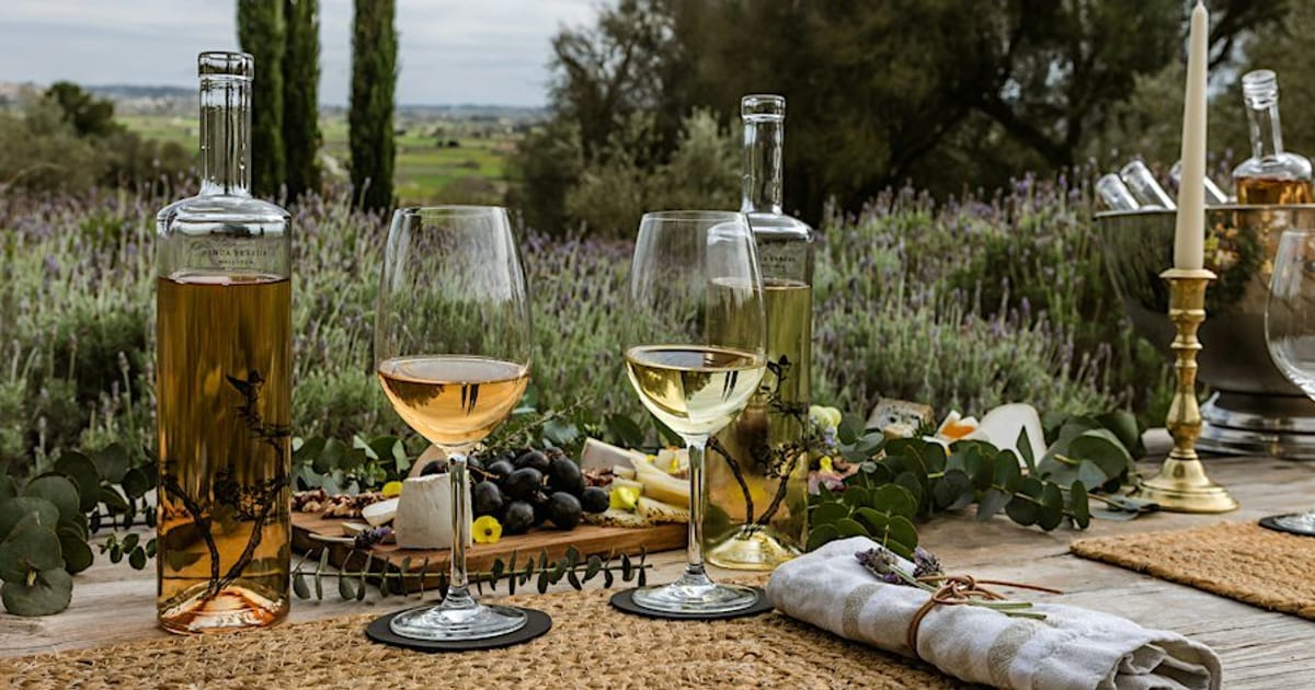 Wine Tasting at Finca Serena, Montuïri