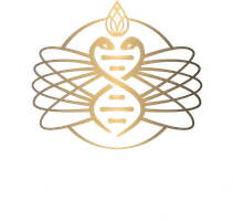 Medicine Festival